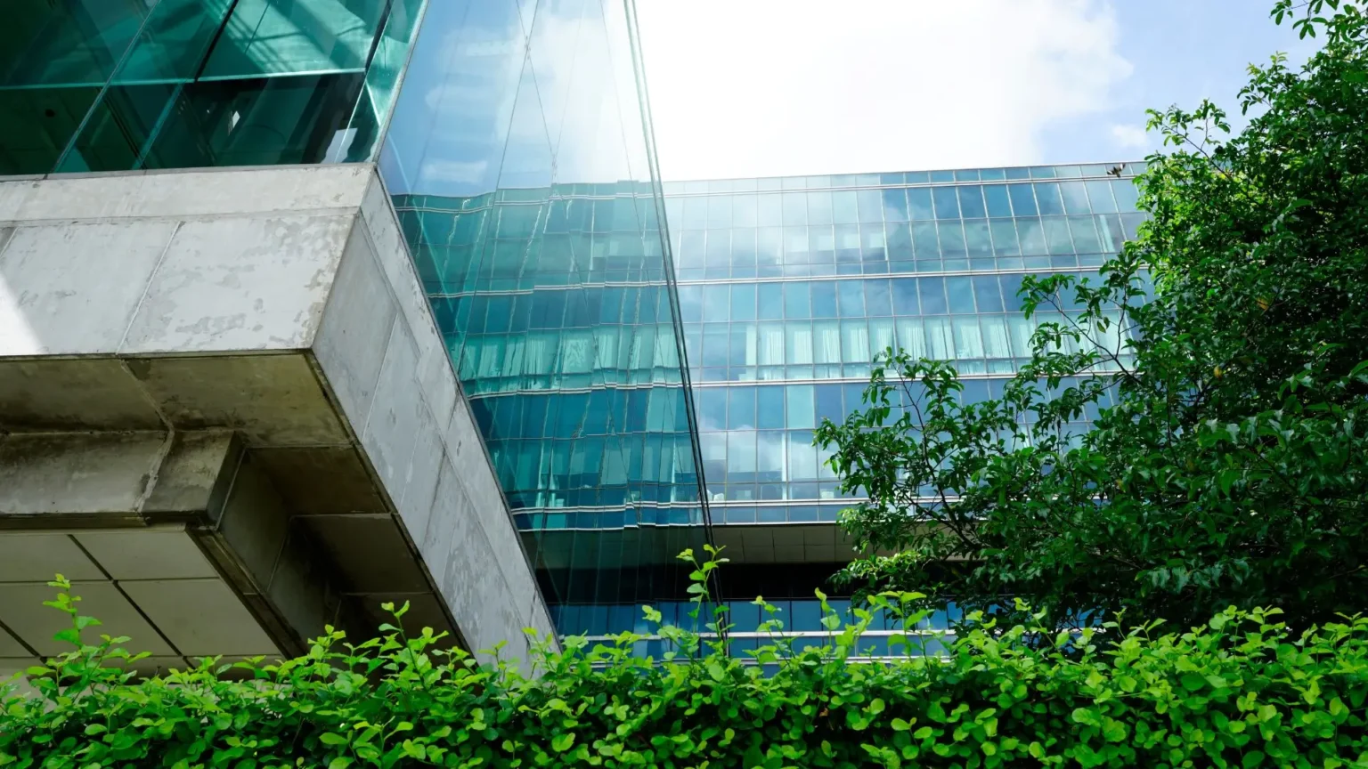 ESG e Sustentabilidade Corporativa